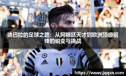 bsports官网入口